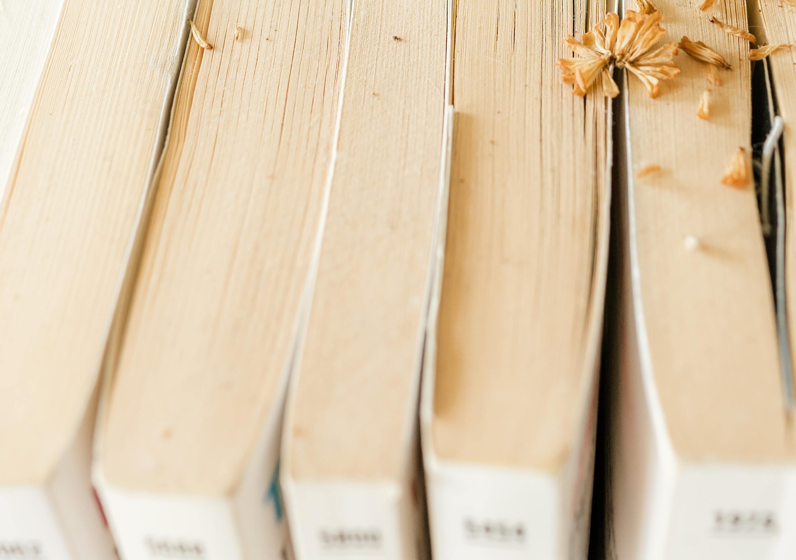 books-pradhan-publications